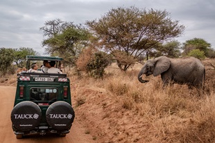 Serengeti National Park, Tanzania