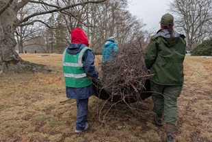 Tauck Impact Minute Man Volunteers