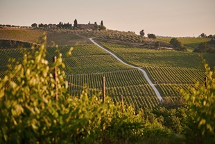 Tuscany, Italy