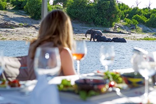 Solo Traveler in Botswana