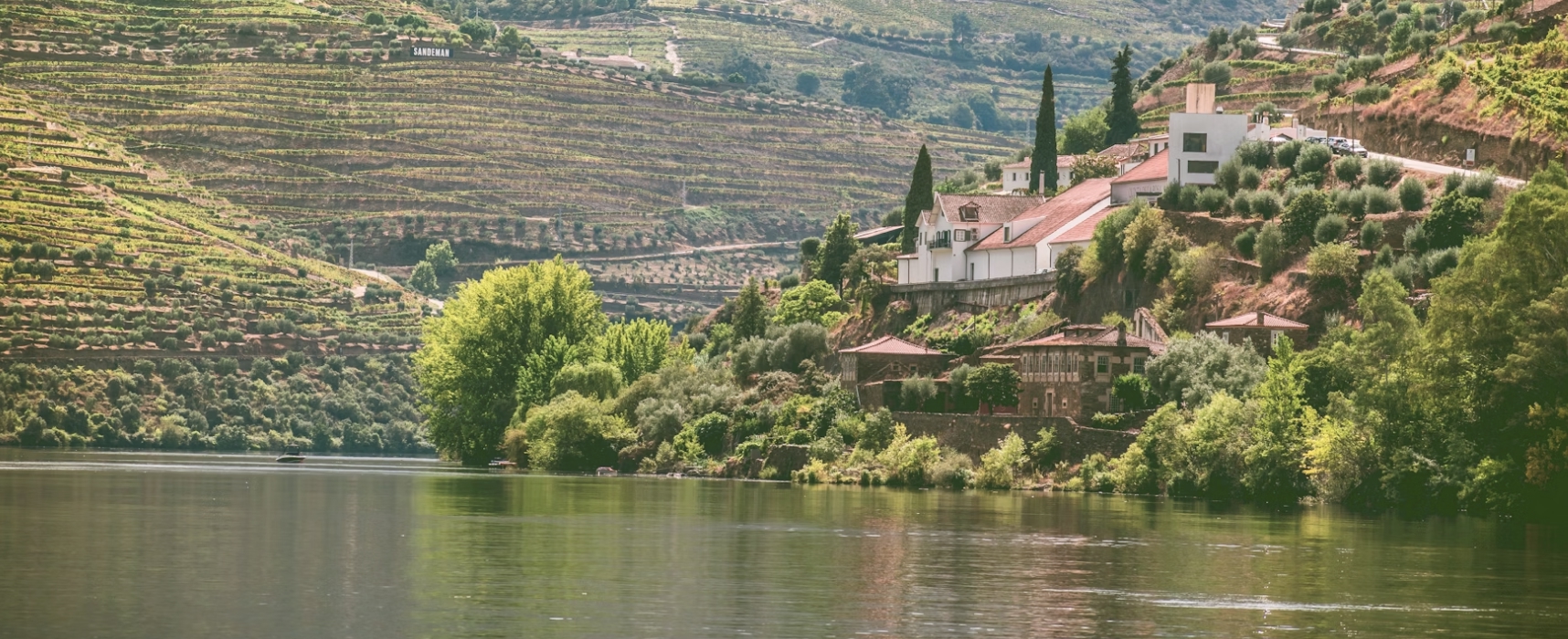 Vineyard-covered hills along the Douro River in Portugal, with traditional wine estates and greenery reflected in the calm water