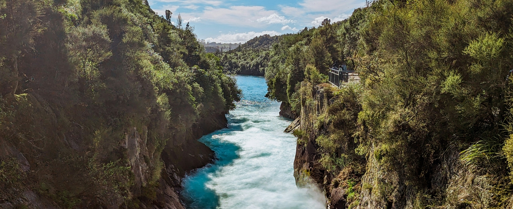 Turquoise river flowing through lush forest canyon