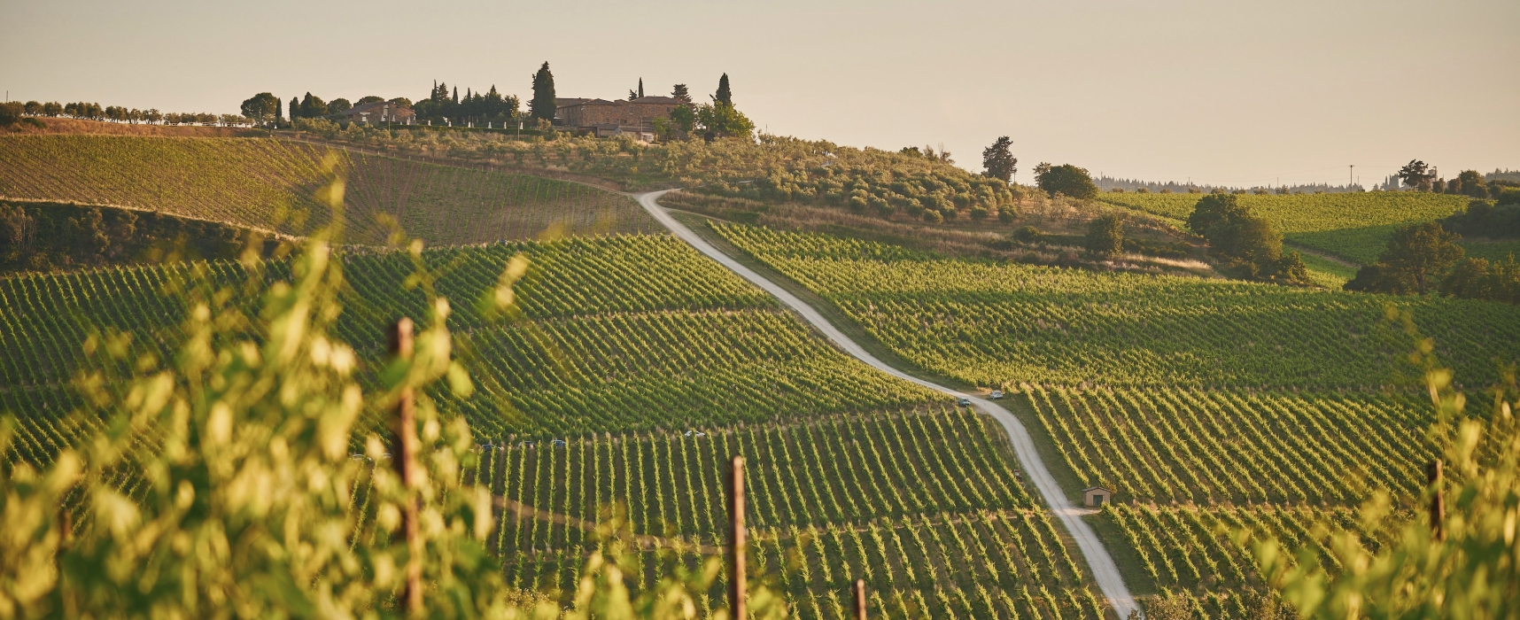 Rolling vineyards and countryside landscape in Tuscany, Italy